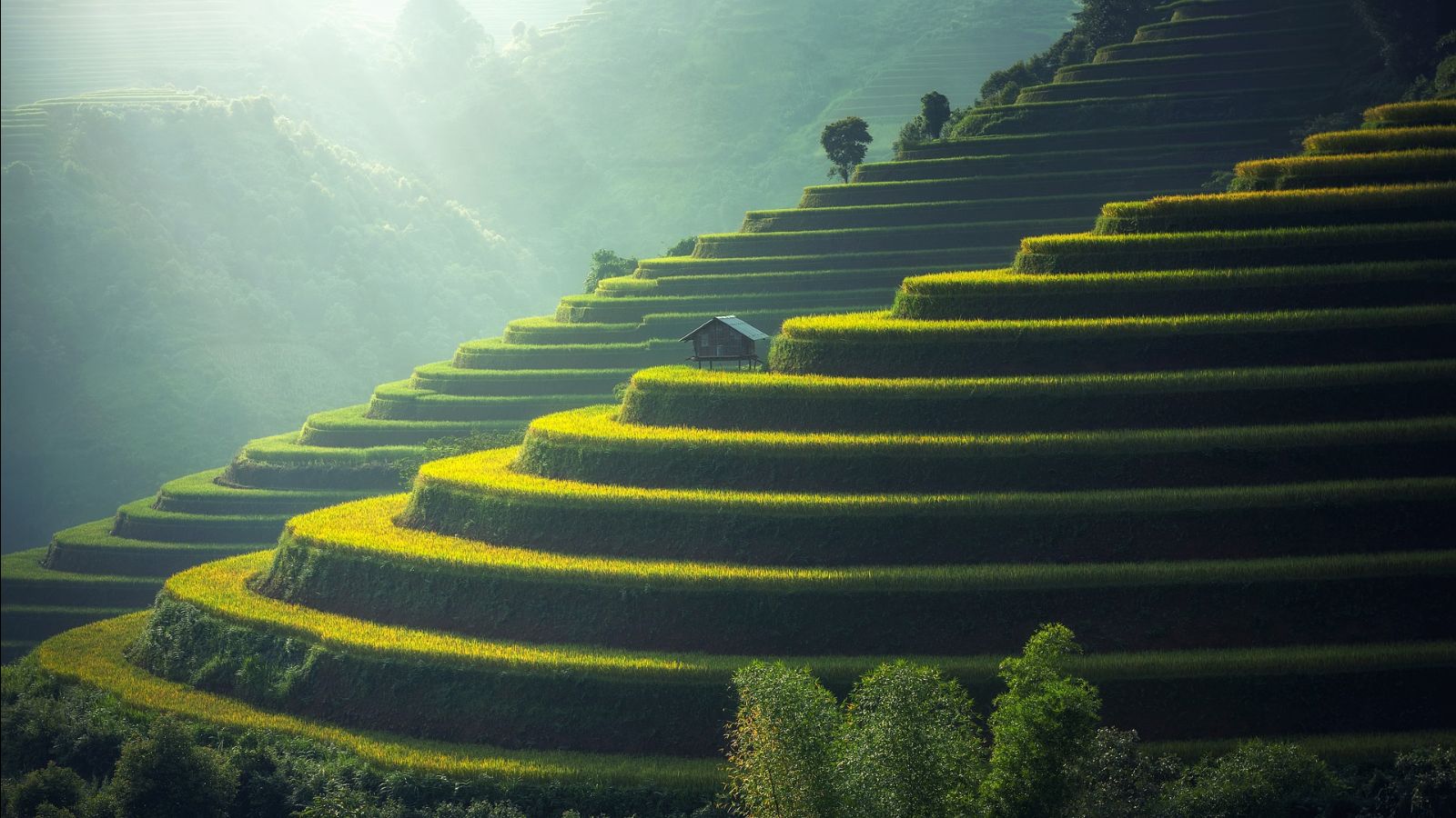 Bali